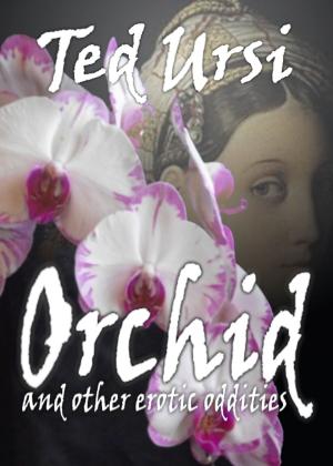 Cover of the book Orchid by Cat Cream
