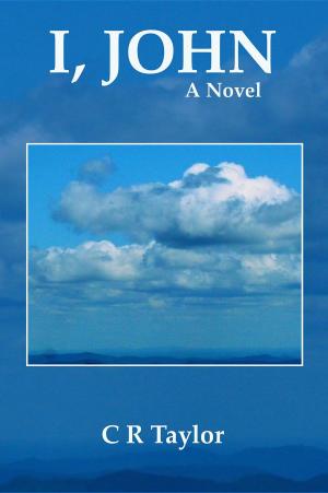 Cover of the book I, John by Felicity McCullough