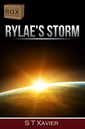 Cover of the book Rylae's Storm by D. N. Leo