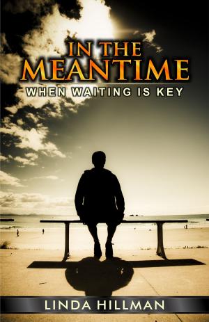 Cover of the book In The Meantime: When waiting is Key by Christina Bengtsson