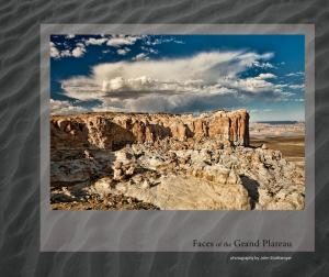 Cover of the book Faces of the Grand Plateau by Lucy Maud Montgomery