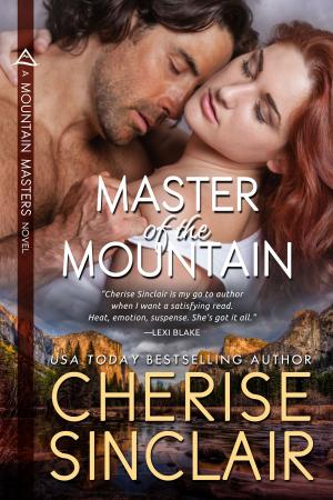 Cover of the book Master of the Mountain by Rachel Jakes
