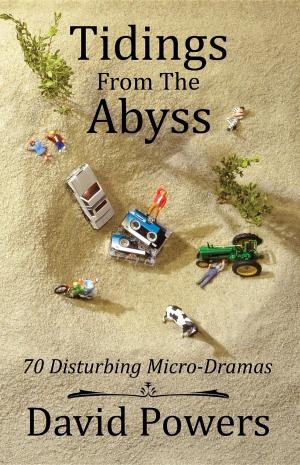 Cover of the book Tidings from the Abyss by T. J. O'Hara