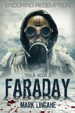 Book cover of Faraday