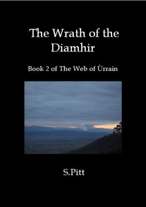 Book cover of The Wrath of the Diamhir