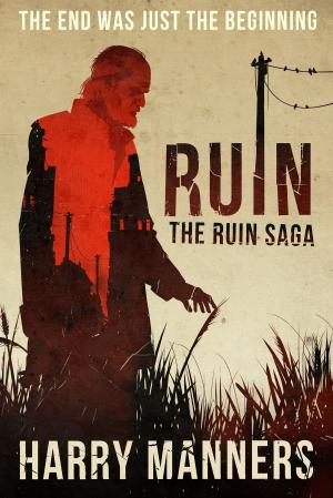 Book cover of Ruin