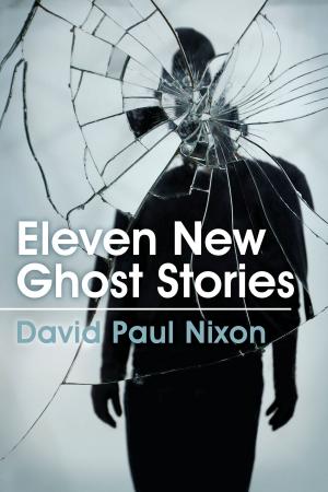 Book cover of Eleven New Ghost Stories