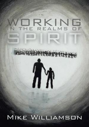 Book cover of Working in the Realms of Spirit