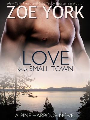 Cover of the book Love in a Small Town by Lucy Lloyd