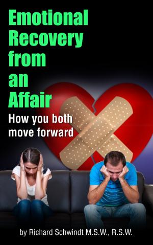 bigCover of the book Emotional Recovery from an Affair by 