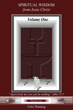 Cover of Spiritual Wisdom from Jesus Christ