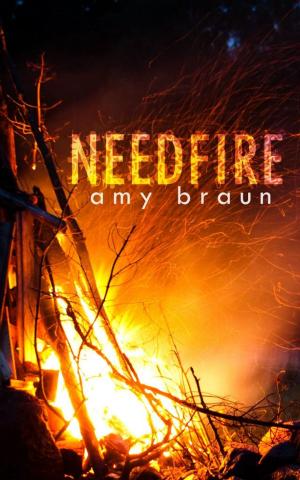 Book cover of Needfire