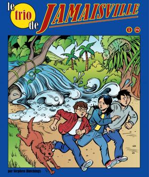 Book cover of Le Trio de Jamaisville-1-FV