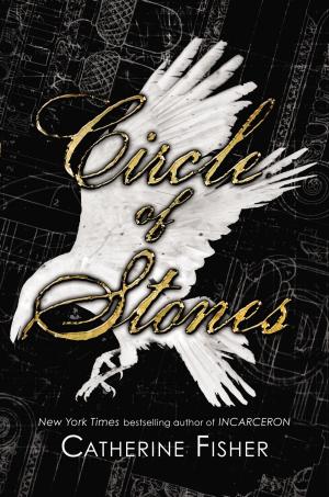 Cover of the book Circle of Stones by Brad Strickland