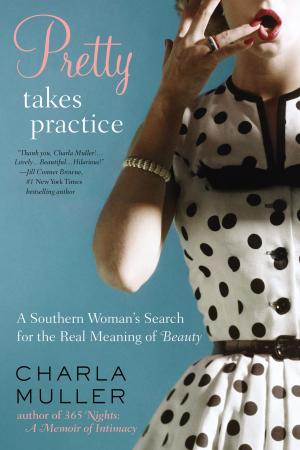 Cover of the book Pretty Takes Practice by Sydney Landon