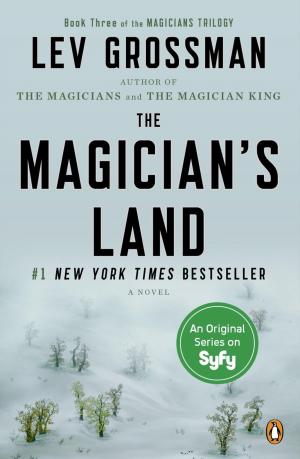 Book cover of The Magician's Land
