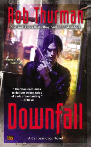 Cover of the book Downfall by Julian Saheed