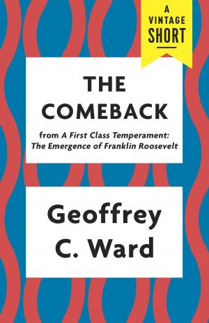 Cover of the book The Comeback by Phillip Lopate
