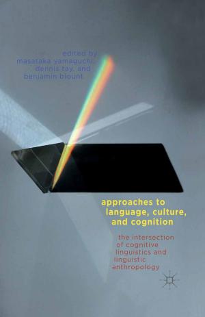 Cover of the book Approaches to Language, Culture, and Cognition by Jan-Benedict Steenkamp