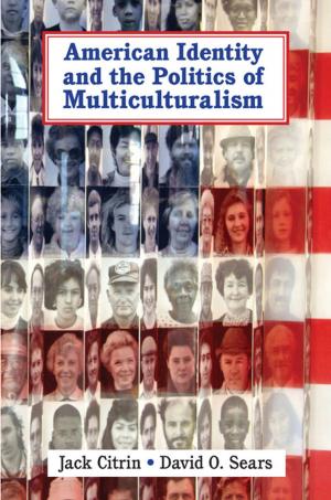 Cover of the book American Identity and the Politics of Multiculturalism by Kim Atkins, Sheryl de Lacey, Rebecca Ripperger, Bonnie Britton