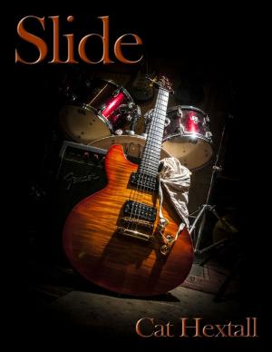 Book cover of Slide