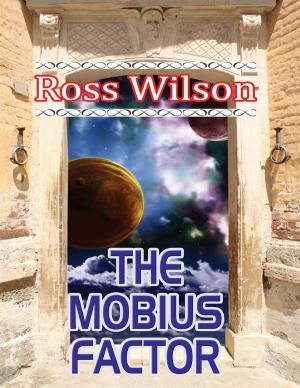 Cover of the book The Mobius Factor by Sullivan Dean