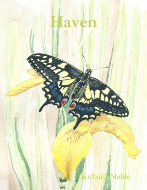 Cover of the book Haven by Lee Nadeau