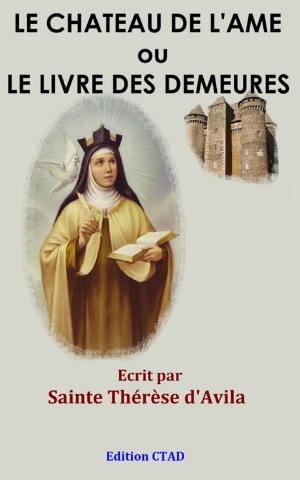 Cover of the book Le Château de l'âme ou Le livre des demeures by David Robertson