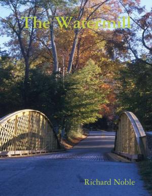 bigCover of the book The Watermill by 