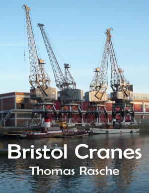 Cover of the book Bristol Cranes by Joe Correa CSN