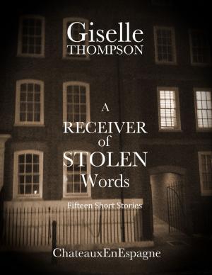 Cover of the book A Receiver of Stolen Words: Fifteen Short Stories by Robert Dave Johnston