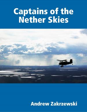 Book cover of Captains of the Nether Skies