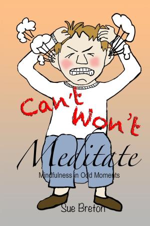 Cover of the book Can't Meditate, Won't Meditate by Judy Joyce