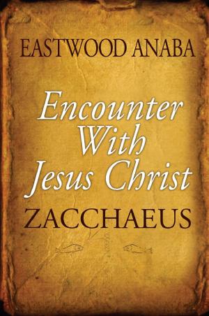 Cover of Encounter With Jesus Christ ( Zacchaeus)