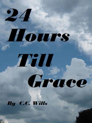 Cover of the book 24 Hours Till Grace by Karensa Minett