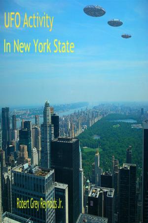 Cover of the book UFO Activity In New York State by Denis Roger Denocla