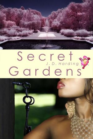 Cover of the book Secret Gardens by Linda Nagata
