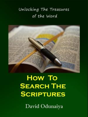 Cover of the book How To Search The Scriptures by Thabile Mange