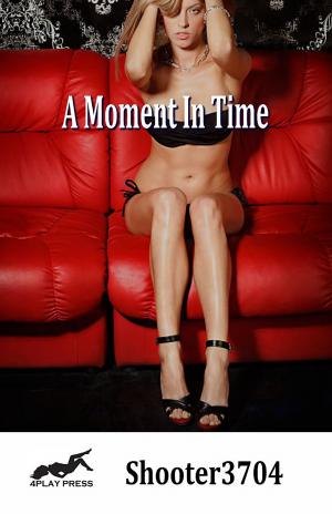bigCover of the book A Moment In Time by 