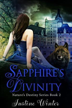 Cover of the book Sapphire's Divinity by David Eggleston
