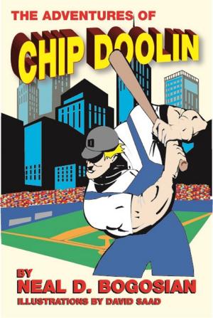 Book cover of The Adventures of Chip Doolin