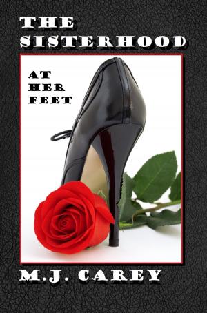bigCover of the book The Sisterhood: At Her Feet by 