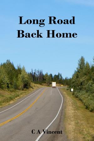 bigCover of the book Long Road Back Home by 