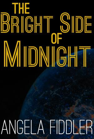 Book cover of The Bright Side of Midnight