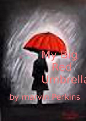 Cover of the book My Big Red Umbrella by Kay Springsteen