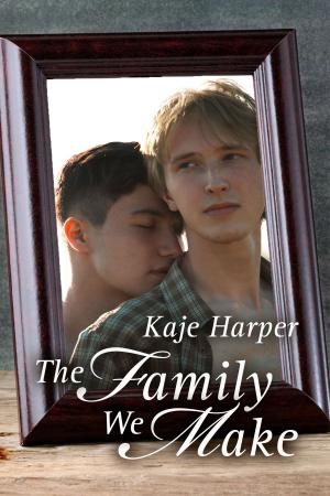 Cover of the book The Family We Make (Finding Family book 2) by Elizabeth Winder