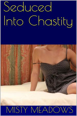 Cover of the book Seduced Into Chastity (Femdom, Chastity) by Charlie M.