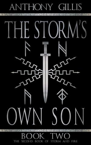 Cover of the book The Storm's Own Son: Book Two by Ivana Skye