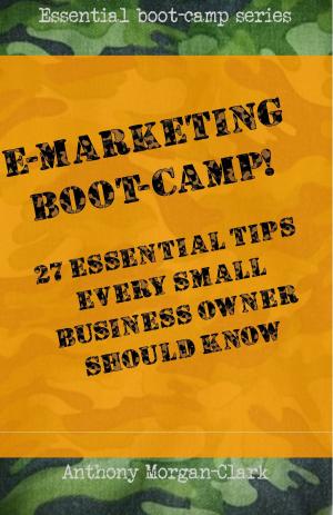 Book cover of E-marketing Boot-Camp! 27 Essential Tips Every Small Business Owner Should Know.