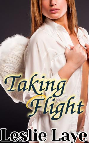 Cover of the book Taking Flight by Felicity Ferras